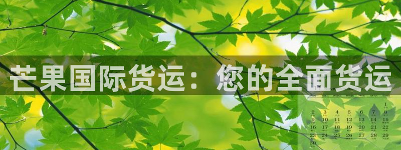 尊龙目前情况：芒果国际货运：您的全面货运