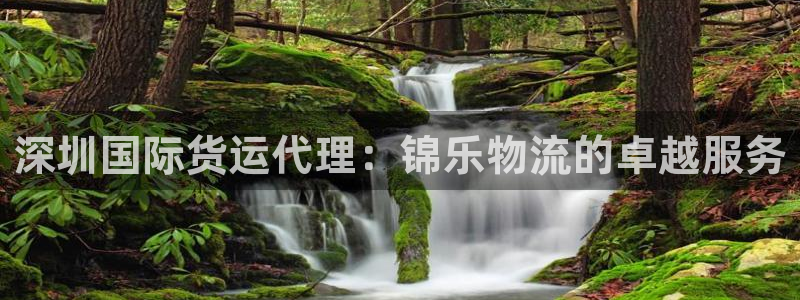 尊龙官网APP下载：深圳国际货运代理：锦乐物流的卓越服务