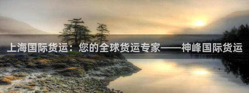 尊龙凯时提款冻卡吗：上海国际货运：您的全球货运专家——神