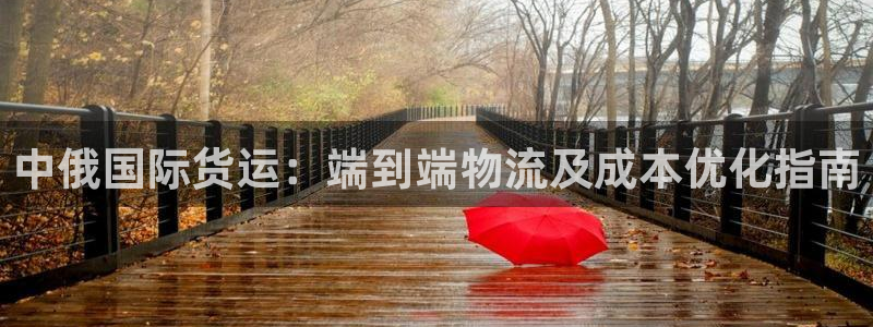 尊龙人生就是博ag：中俄国际货运：端到端物流及成本优化指