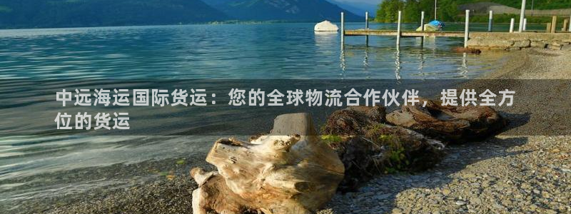 z6尊龙凯时集团：中远海运国际货运：您的全球物流合作伙伴