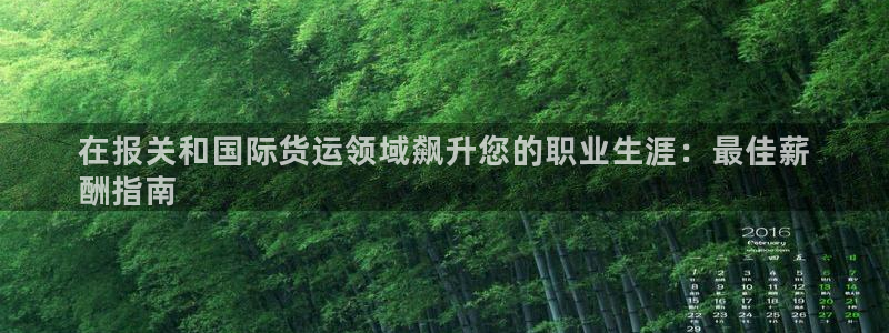 尊龙这个平台怎么样：在报关和国际货运领域飙升您的职业生涯