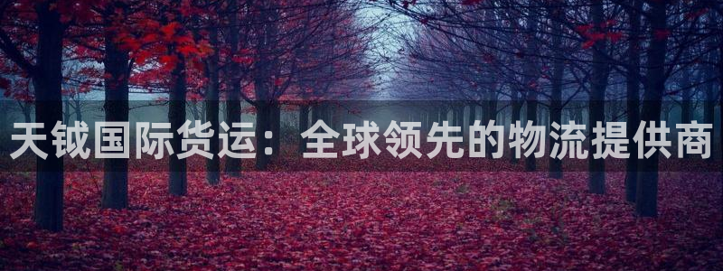 尊龙人生就是搏：天钺国际货运：全球领先的物流提供商