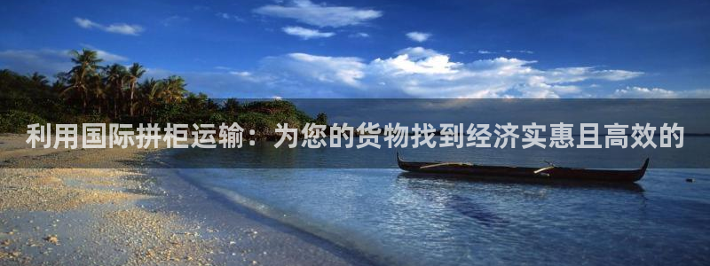 尊龙新版手机app下载：利用国际拼柜运输：为您的货物找到