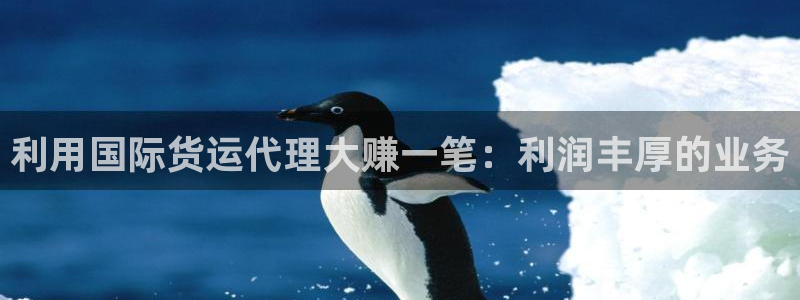 尊龙凯时俱乐部：利用国际货运代理大赚一笔：利润丰厚的业务