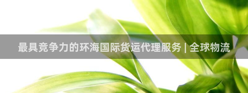 尊龙凯时平台还是万搏好：最具竞争力的环海国际货运代理服务