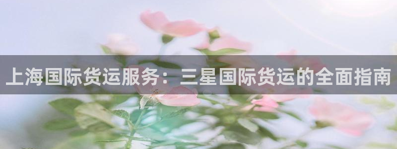 尊龙凯时 人生就是搏首页：上海国际货运服务：三星国际货运