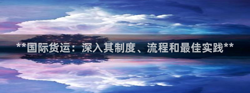 尊龙凯时旗舰厅官网：**国际货运：深入其制度、流程和最佳