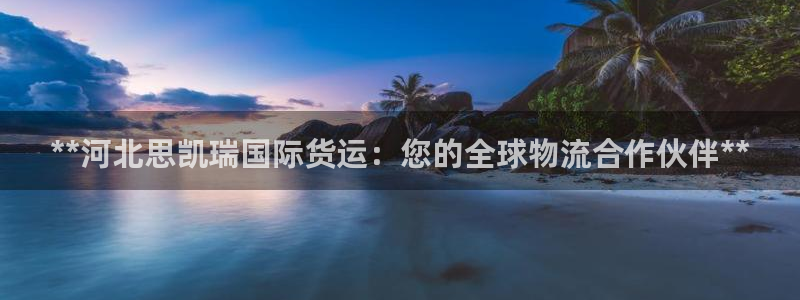 尊龙凯时合法吗?：**河北思凯瑞国际货运：您的全球物流合