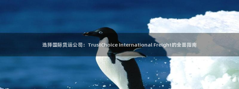 尊龙1003尊龙 - 百度：选择国际货运公司：Trust
