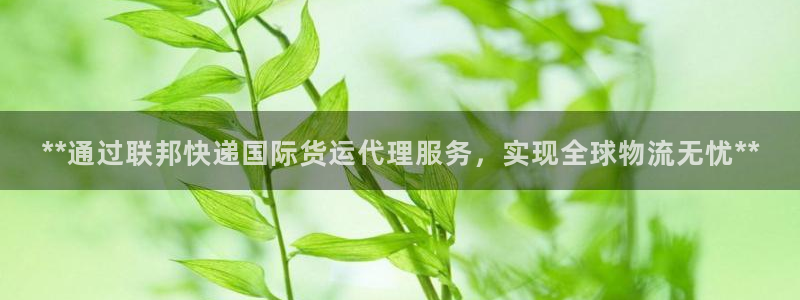 尊龙网站注册网：**通过联邦快递国际货运代理服务，实现全