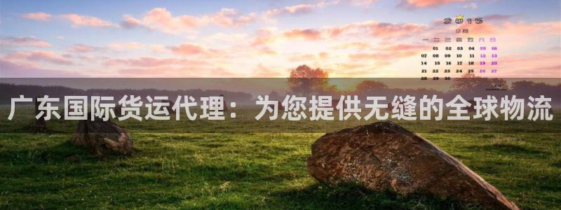尊龙凯时集团：广东国际货运代理：为您提供无缝的全球物流
