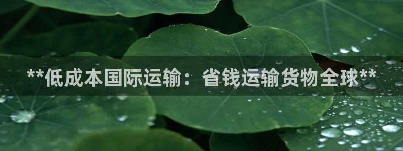 尊龙凯时人生就是搏 品牌专区：**低成本国际运输：省钱运