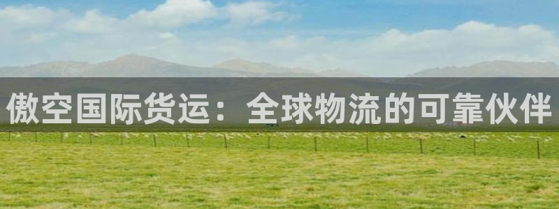 尊龙ag旗舰厅手机版：傲空国际货运：全球物流的可靠伙伴
