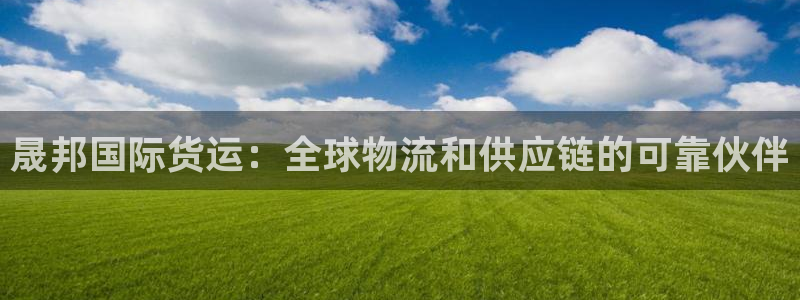 尊龙凯时：晟邦国际货运：全球物流和供应链的可靠伙伴