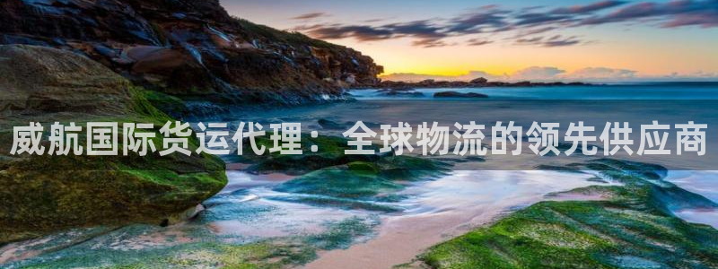 尊龙凯时网站怎么样：威航国际货运代理：全球物流的领先供应