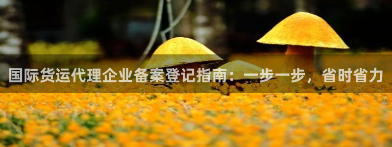 尊龙ag旗舰厅手机版：国际货运代理企业备案登记指南：一步