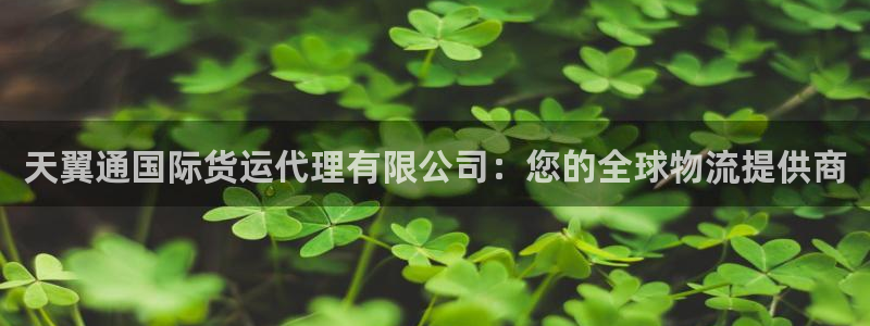 尊龙ag旗舰官网：天翼通国际货运代理有限公司：您的全球物