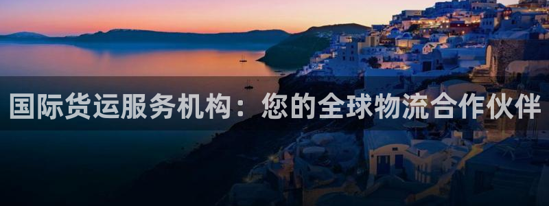尊龙客服：国际货运服务机构：您的全球物流合作伙伴