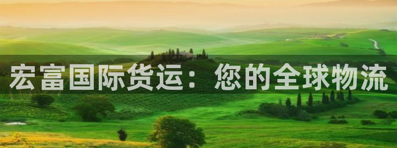 尊龙凯时 - 人生就是搏!提款怎么样：宏富国际货运：您的