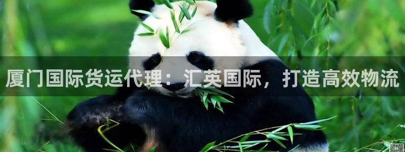 尊龙人生就是博l：厦门国际货运代理：汇英国际，打造高效物