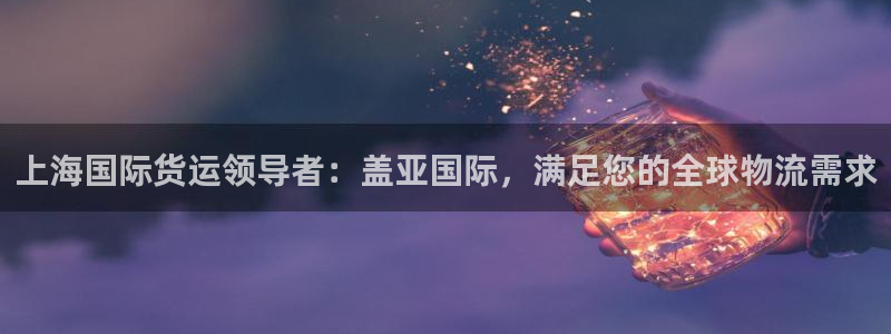 尊龙官网首页：上海国际货运领导者：盖亚国际，满足您的全球