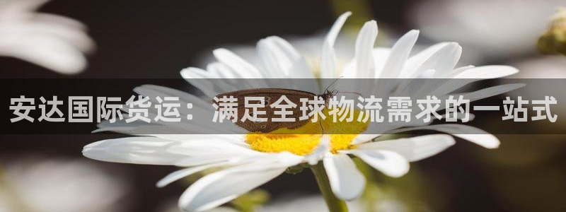 尊龙凯时贴吧：安达国际货运：满足全球物流需求的一站式