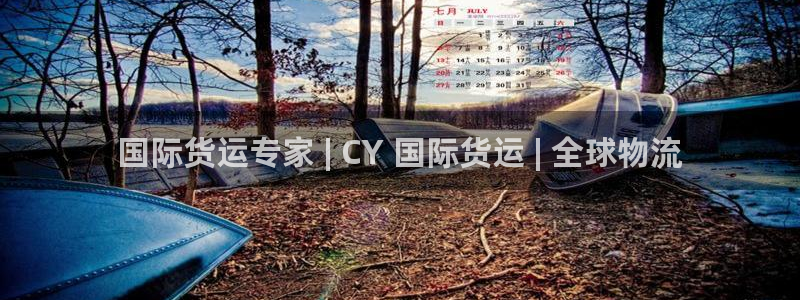 尊龙现金：国际货运专家 | CY 国际货运 | 全球物流