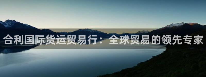 旧版尊龙人生就是博下载：合利国际货运贸易行：全球贸易的领