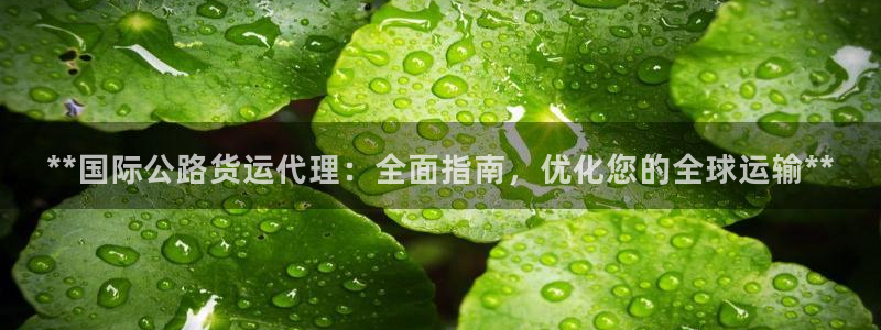 尊龙凯时捕鱼游戏能玩吗：**国际公路货运代理：全面指南，
