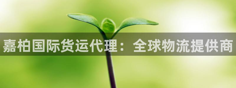 尊龙 am i blue：嘉柏国际货运代理：全球物流提供