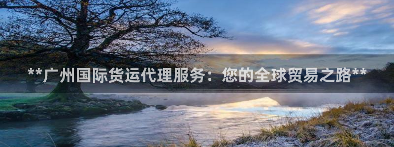 尊龙d88ag官方网站：**广州国际货运代理服务：您的全