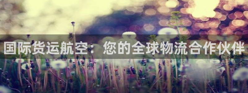 尊龙网址苹果版下载：国际货运航空：您的全球物流合作伙伴