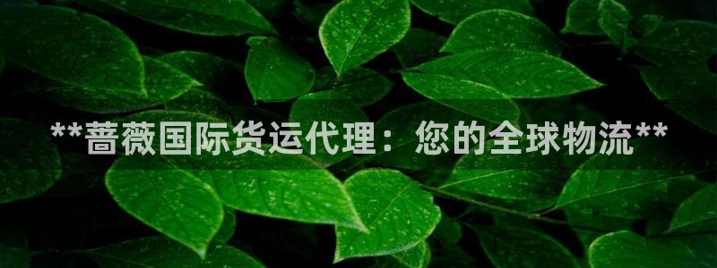 尊龙凯时不朽情缘：**蔷薇国际货运代理：您的全球物流**
