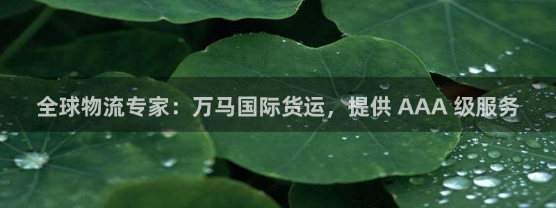 尊龙集团有限公司是国企吗：全球物流专家：万马国际货运，提