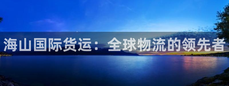 尊龙z6官网：海山国际货运：全球物流的领先者
