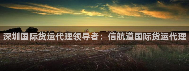 尊龙人生就是博官网登录手机：深圳国际货运代理领导者：信航