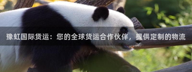 尊龙凯时旗舰厅官网：豫虹国际货运：您的全球货运合作伙伴，