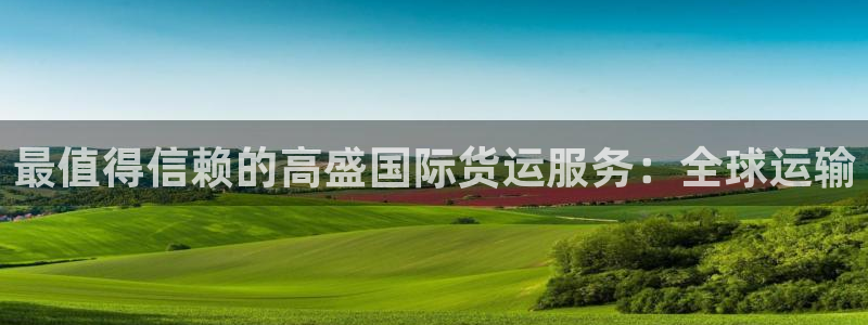 尊龙旗舰厅：最值得信赖的高盛国际货运服务：全球运输
