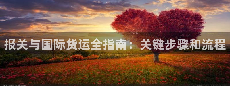 尊龙凯时ag旗舰厅官网客服：报关与国际货运全指南：关键步