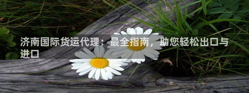 尊龙一人生就是博电子游戏：济南国际货运代理：最全指南，助
