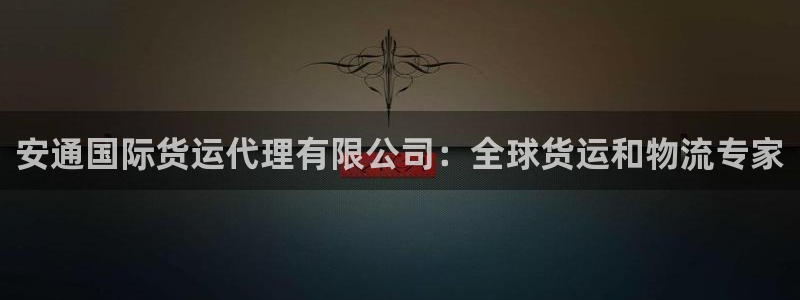 尊龙网站手机下载：安通国际货运代理有限公司：全球货运和物