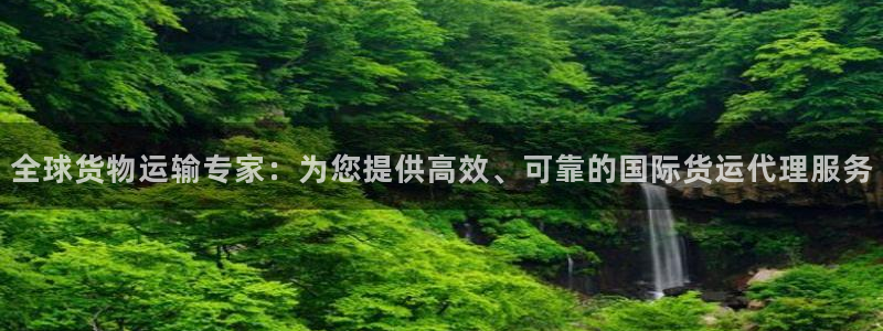 尊龙集团有限公司：全球货物运输专家：为您提供高效、可靠的