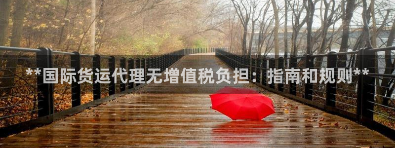 尊龙凯时网站网址：**国际货运代理无增值税负担：指南和规