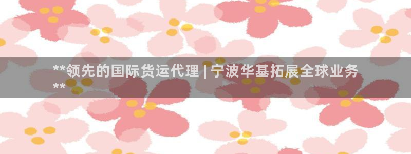 尊龙凯时网页版：**领先的国际货运代理 | 宁波华基拓展