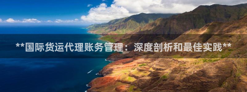 尊龙 国外：**国际货运代理账务管理：深度剖析和最佳实践