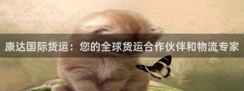 尊龙凯时app官方网站：康达国际货运：您的全球货运合作伙