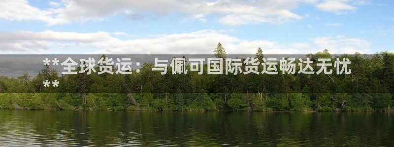 尊龙凯时人生就博：**全球货运：与佩可国际货运畅达无忧
