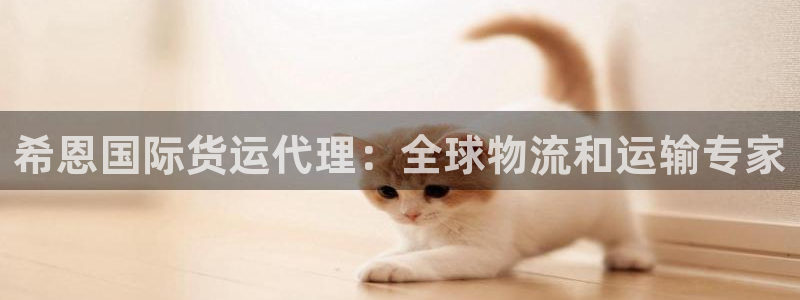 尊龙人生就是搏：希恩国际货运代理：全球物流和运输专家