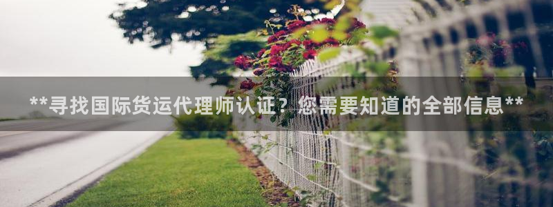 尊龙网平台：**寻找国际货运代理师认证？您需要知道的全部
